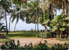 Goa  Image 3